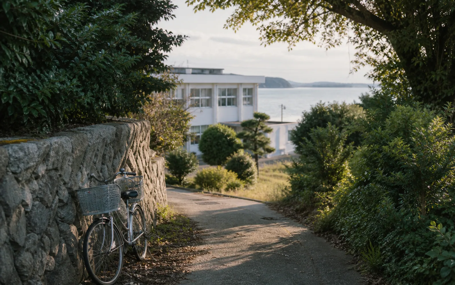 緑に囲まれた通学路を思わせる風景